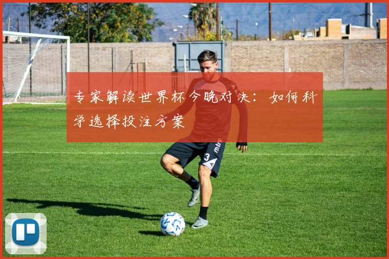 专家解读世界杯今晚对决:如何科学选择投注方案