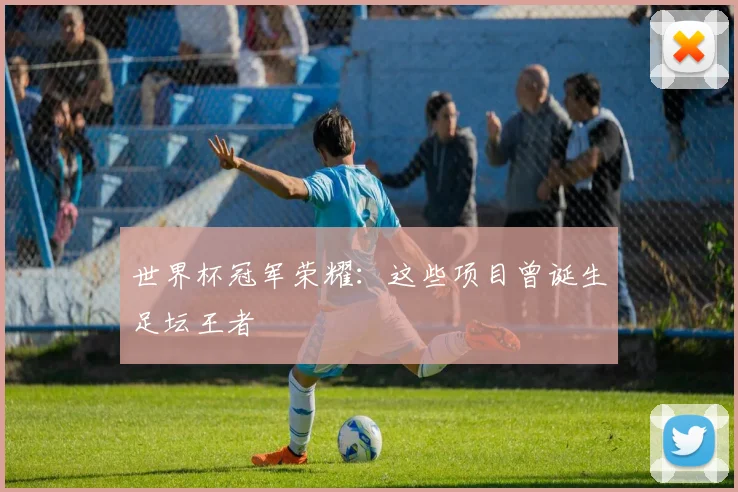 世界杯冠军荣耀：这些项目曾诞生足坛王者