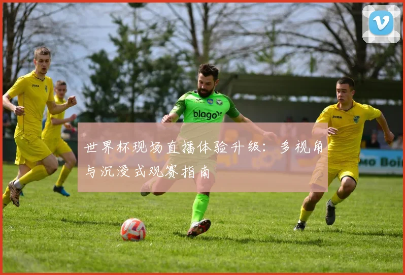 世界杯现场直播体验升级：多视角与沉浸式观赛指南