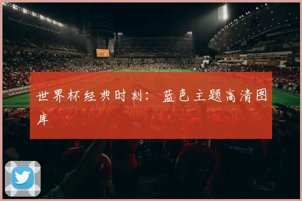世界杯经典时刻：蓝色主题高清图库