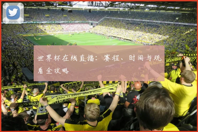 世界杯在线直播：赛程、时间与观看全攻略
